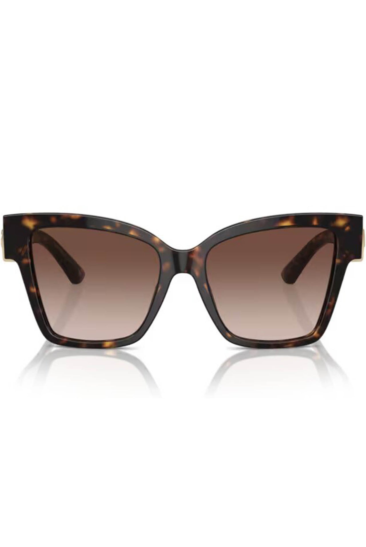 Gafas Dolce & Gabbana 0DG4470 502/13 54
