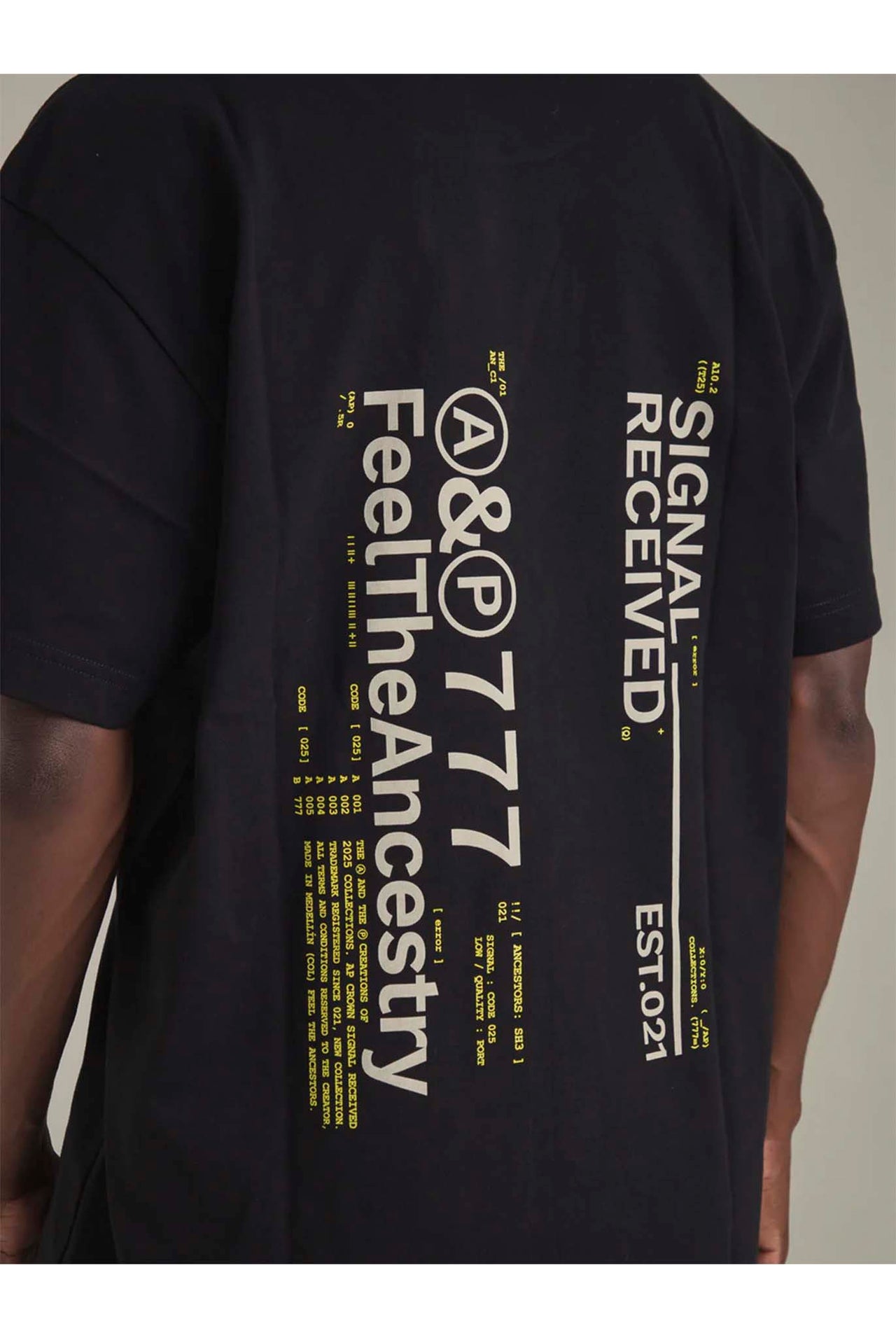 Camiseta Ap Crown Ashen Black