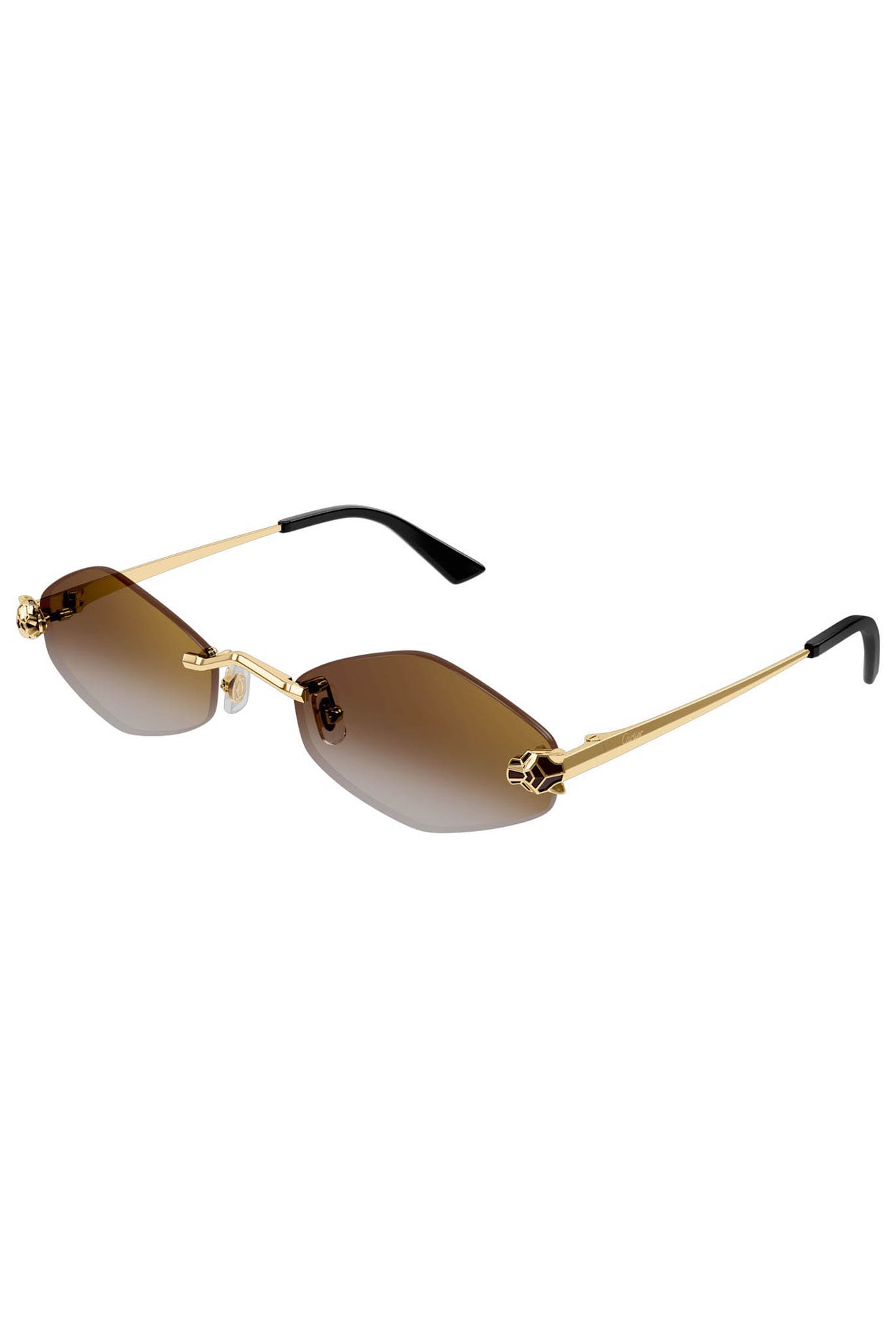 Gafas Cartier CT0433S 002 140