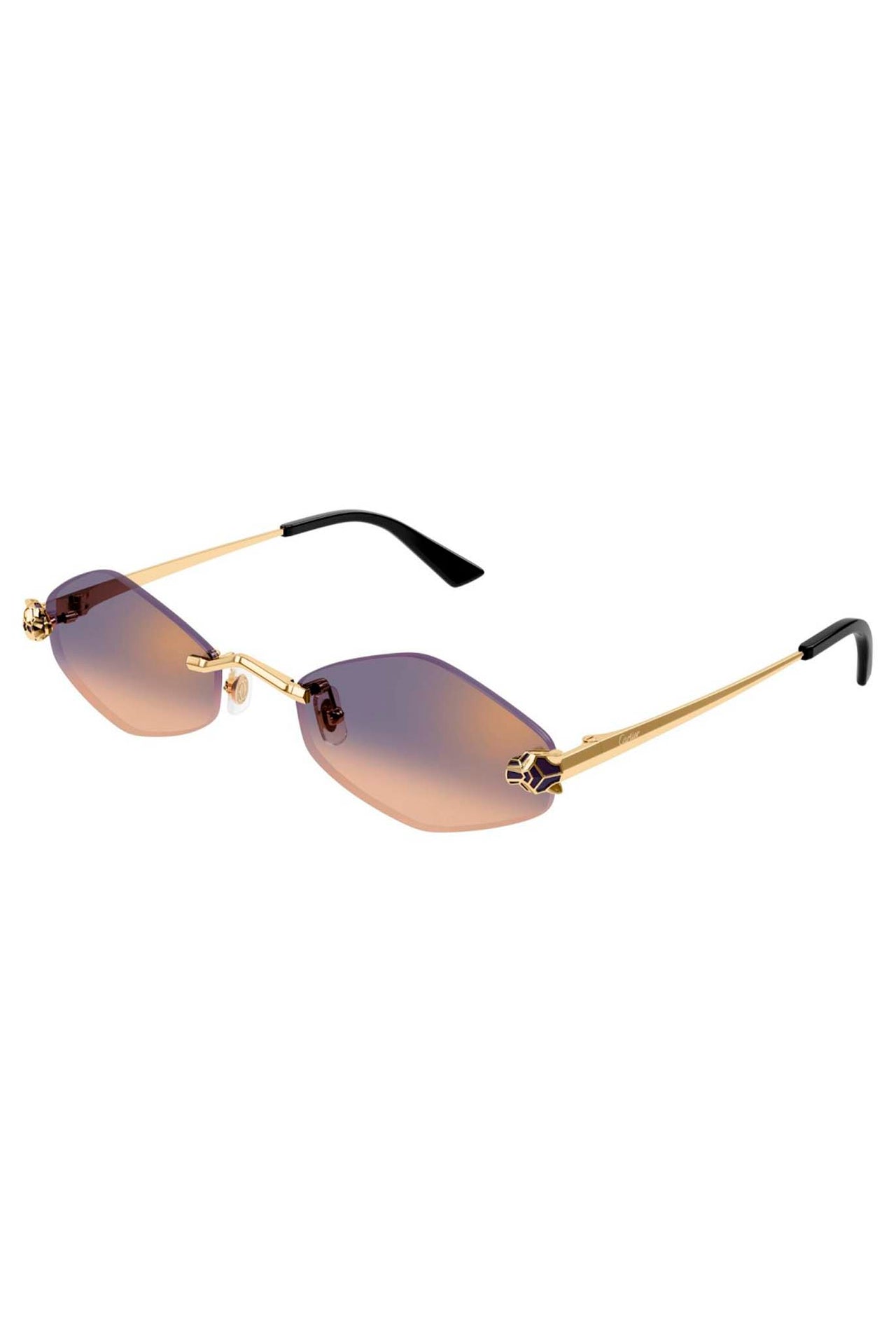 Gafas Cartier CT0433S 005