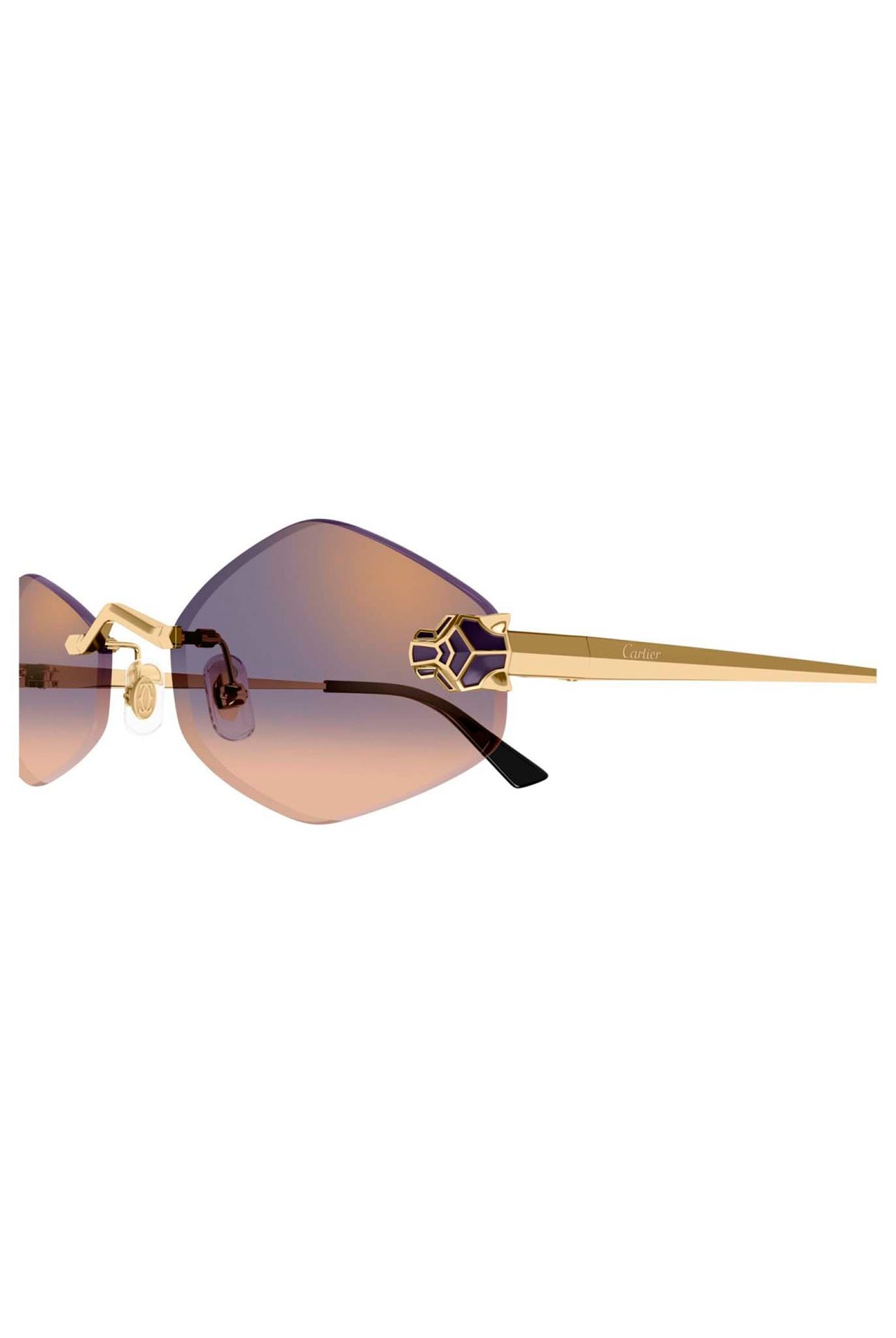 Gafas Cartier CT0433S 005