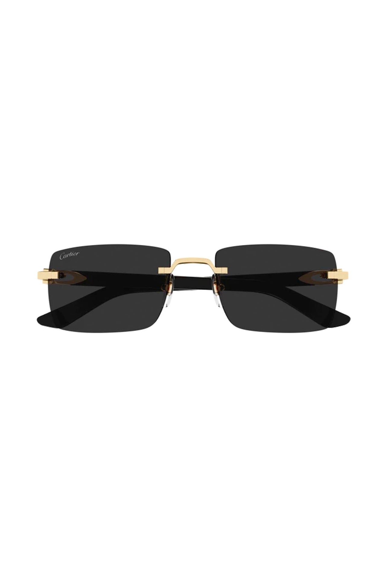 Gafas Cartier CT0579S 001