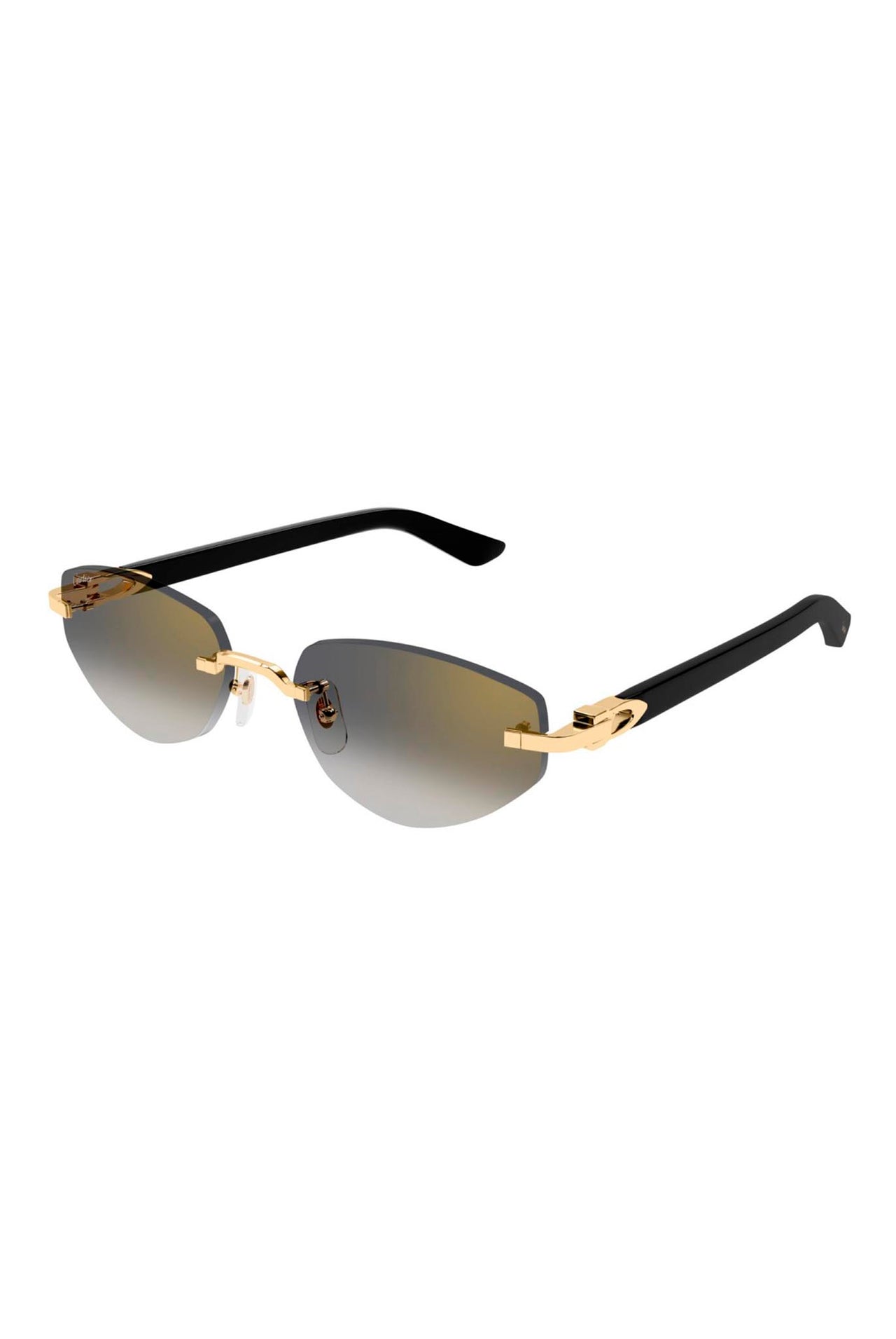 Gafas Cartier CT0580S 001