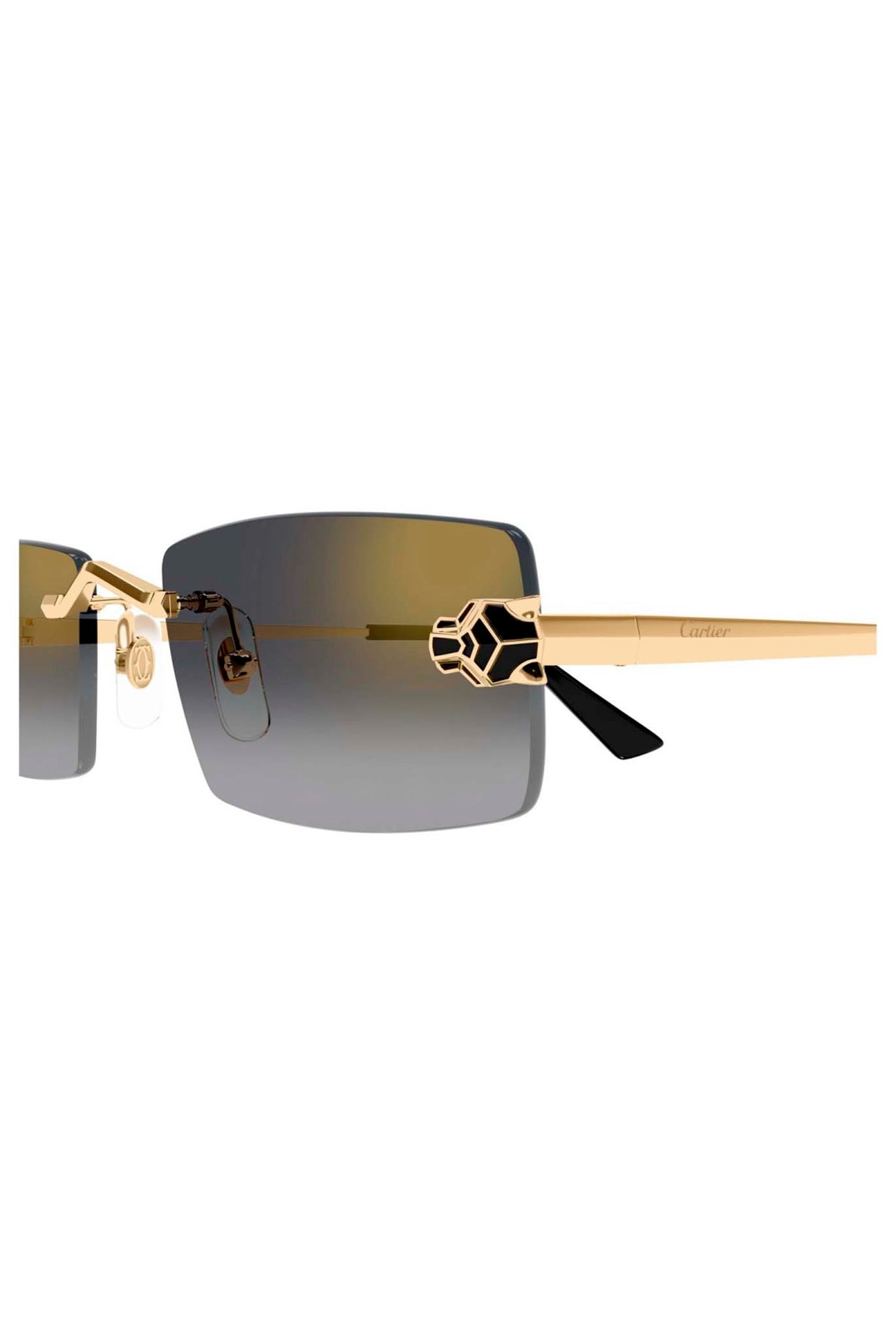 Gafas Cartier CT0598S 001