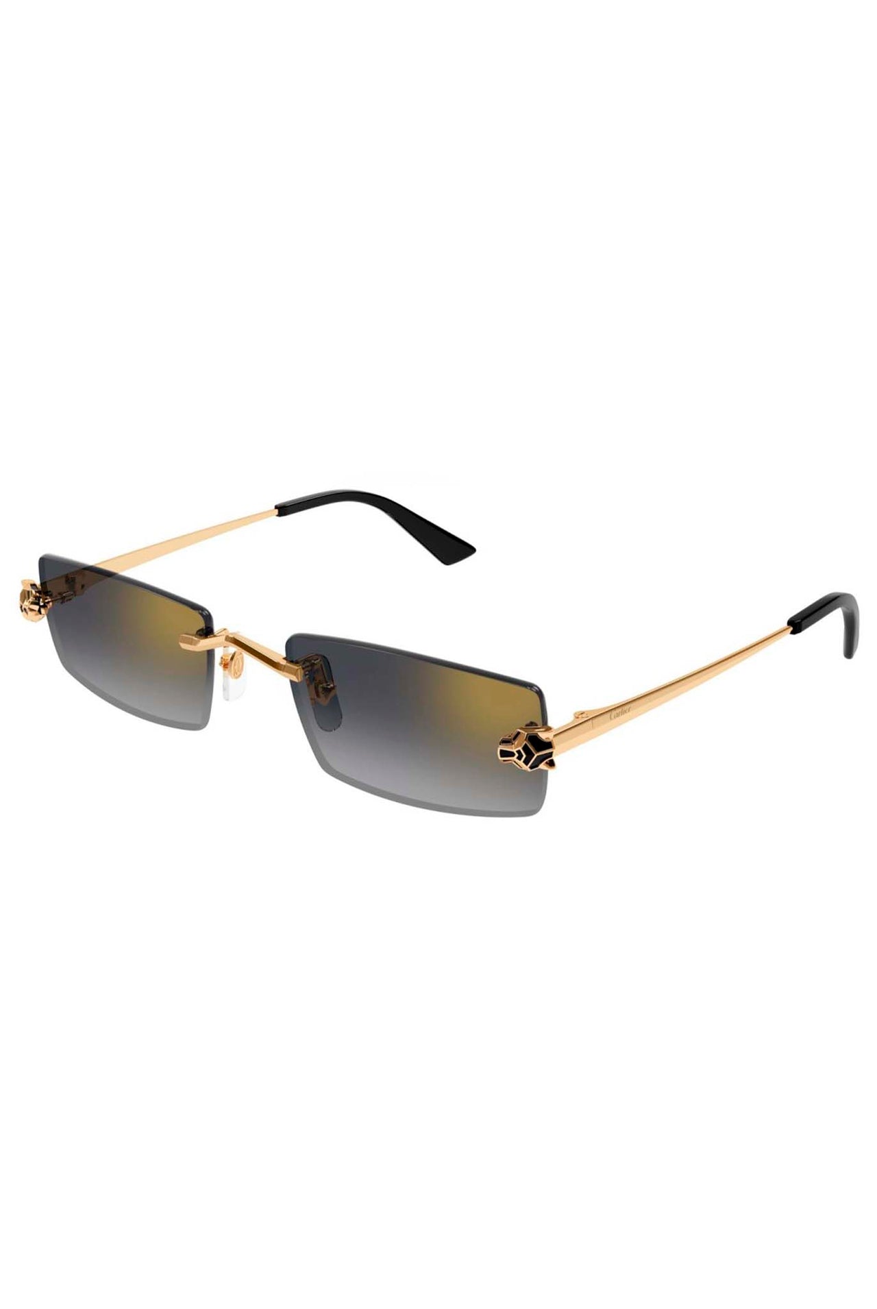 Gafas Cartier CT0598S 001