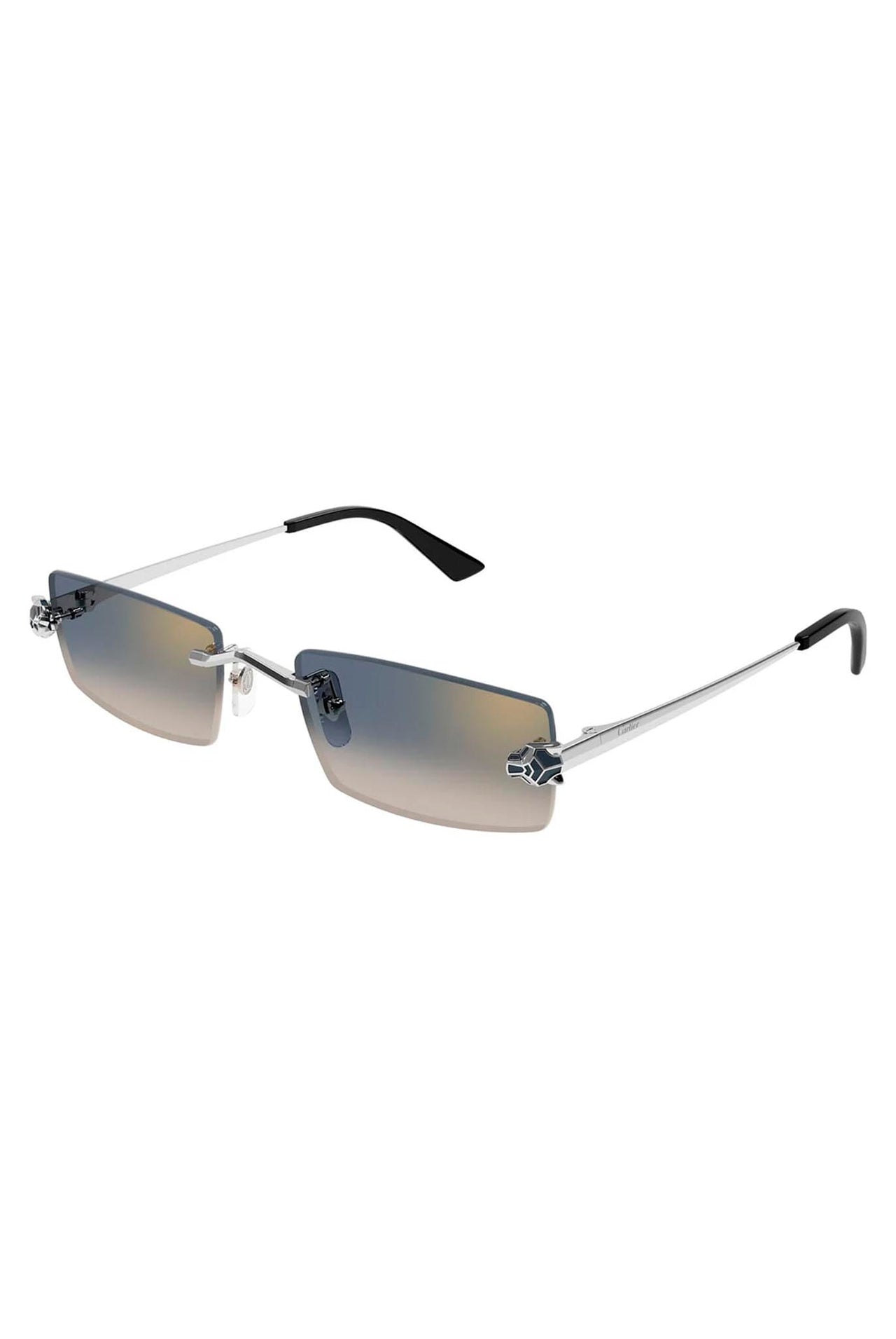 Gafas Cartier CT0598S 002