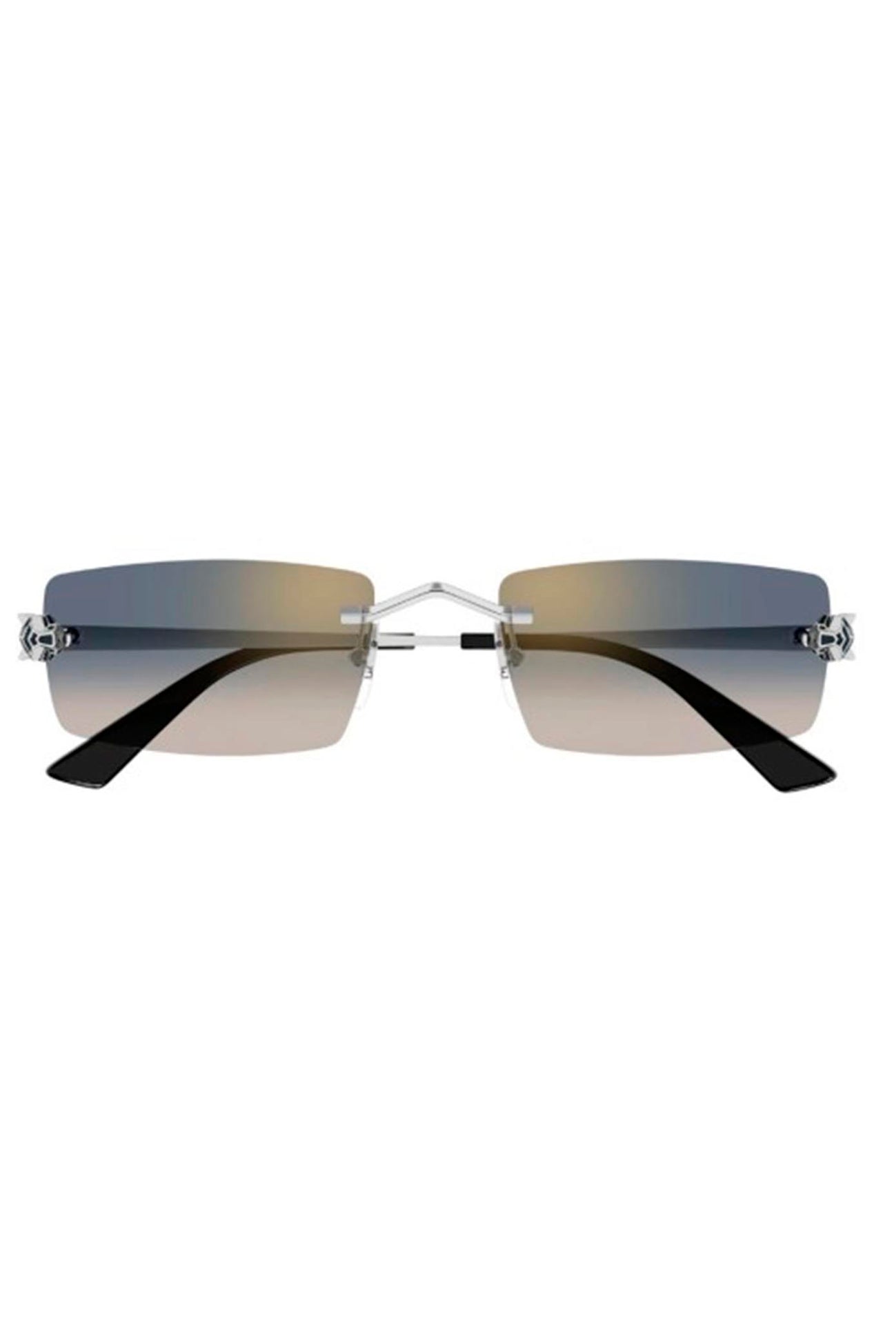 Gafas Cartier CT0598S 002