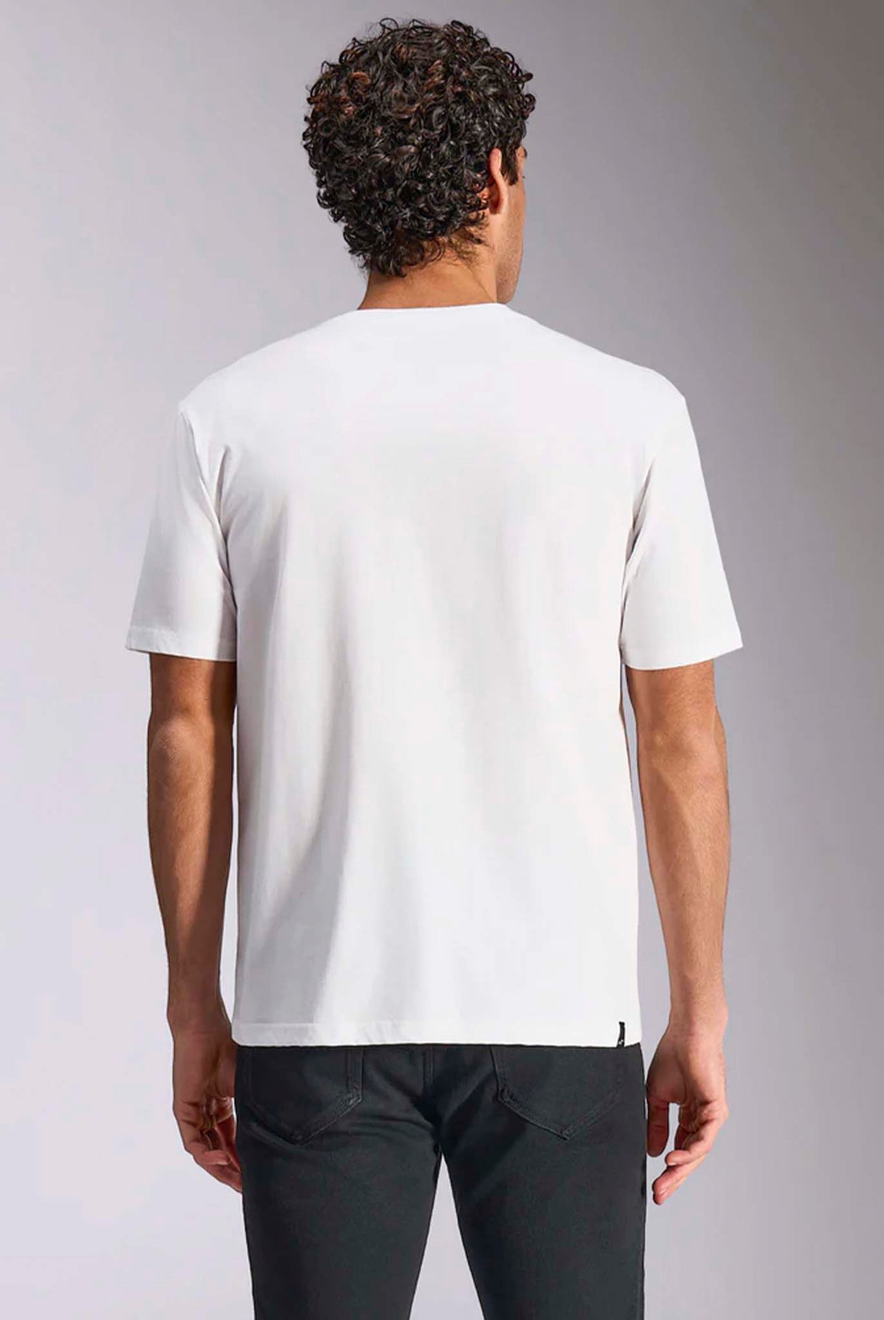 Camiseta Alpinestars Plate SS CSF White