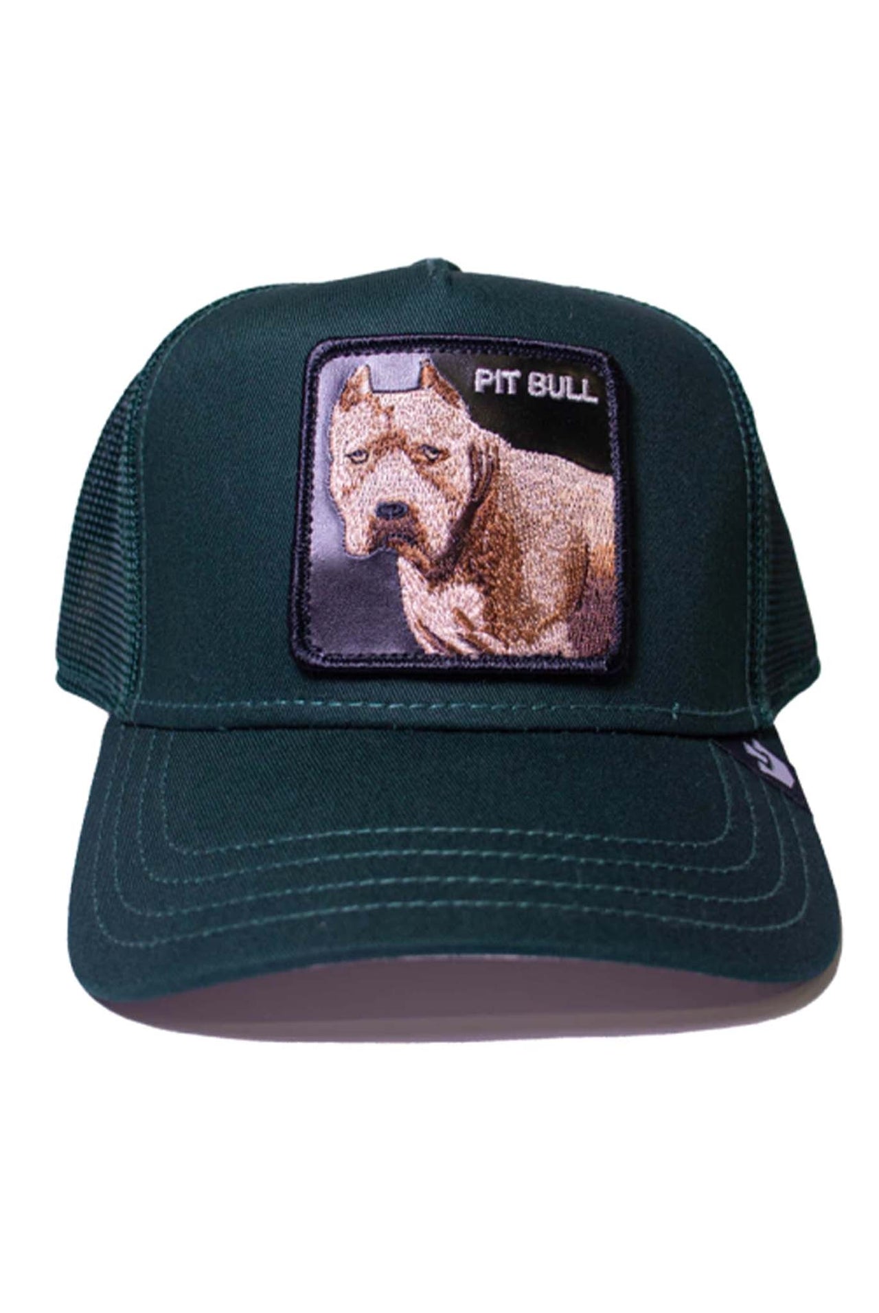 Gorra Goorin Bros The Dog Pitbull Forest