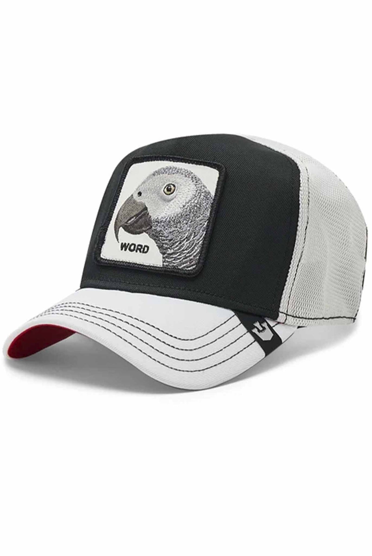 Gorra Goorin Bros Bird's The Word Black