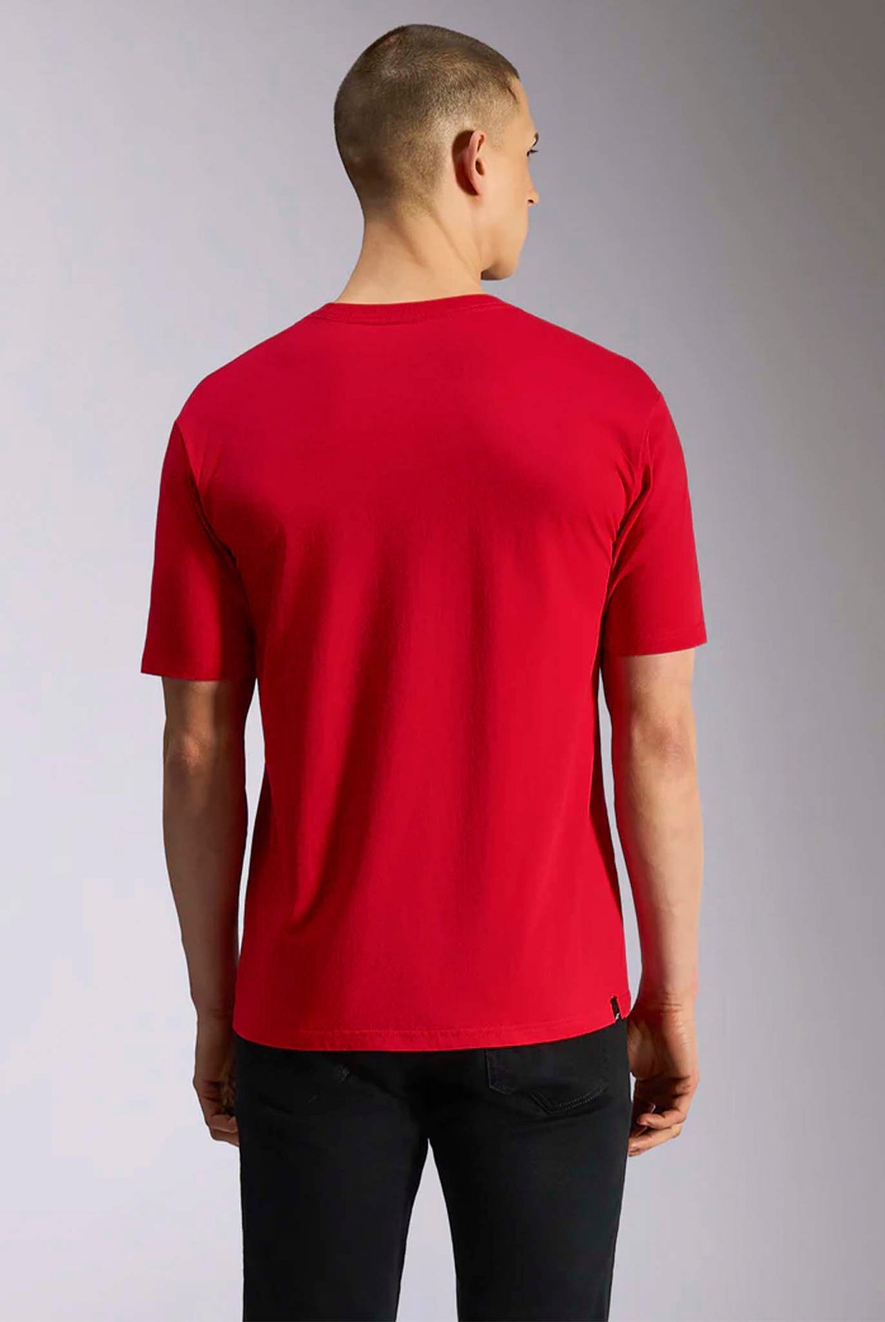 Camiseta Alpinestars Plate SS CSF Red