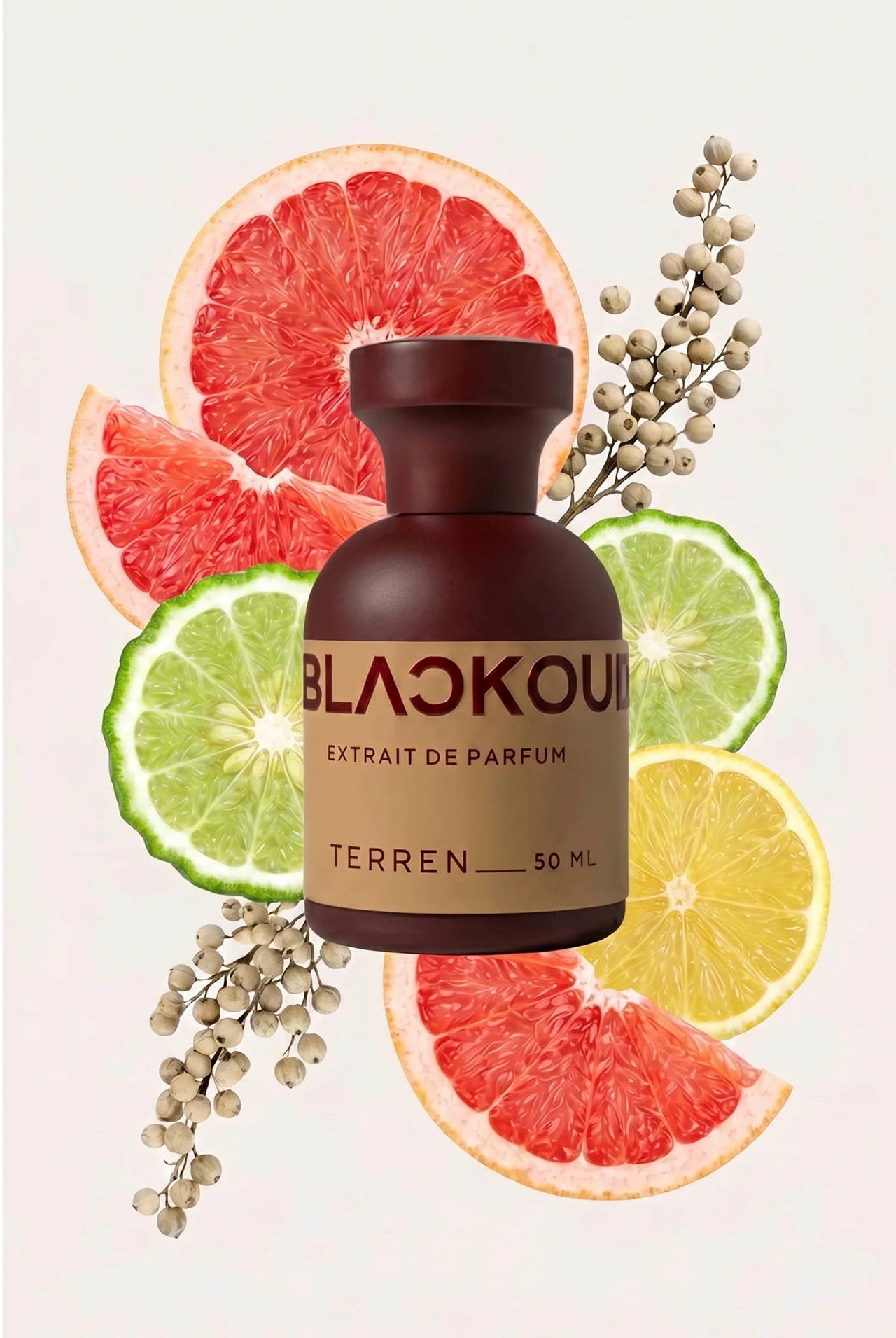 Perfume Blackoud Terren 50ML