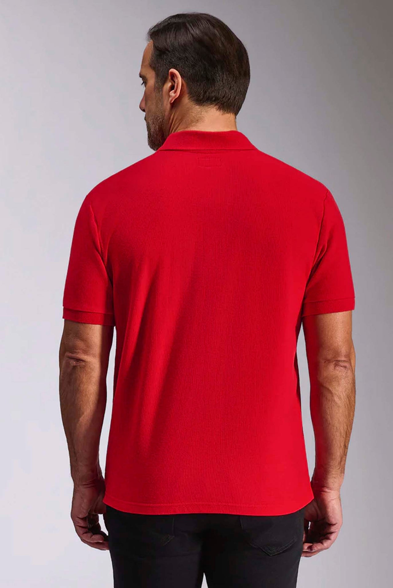 Polo Alpinestars Endeavor Classic Red