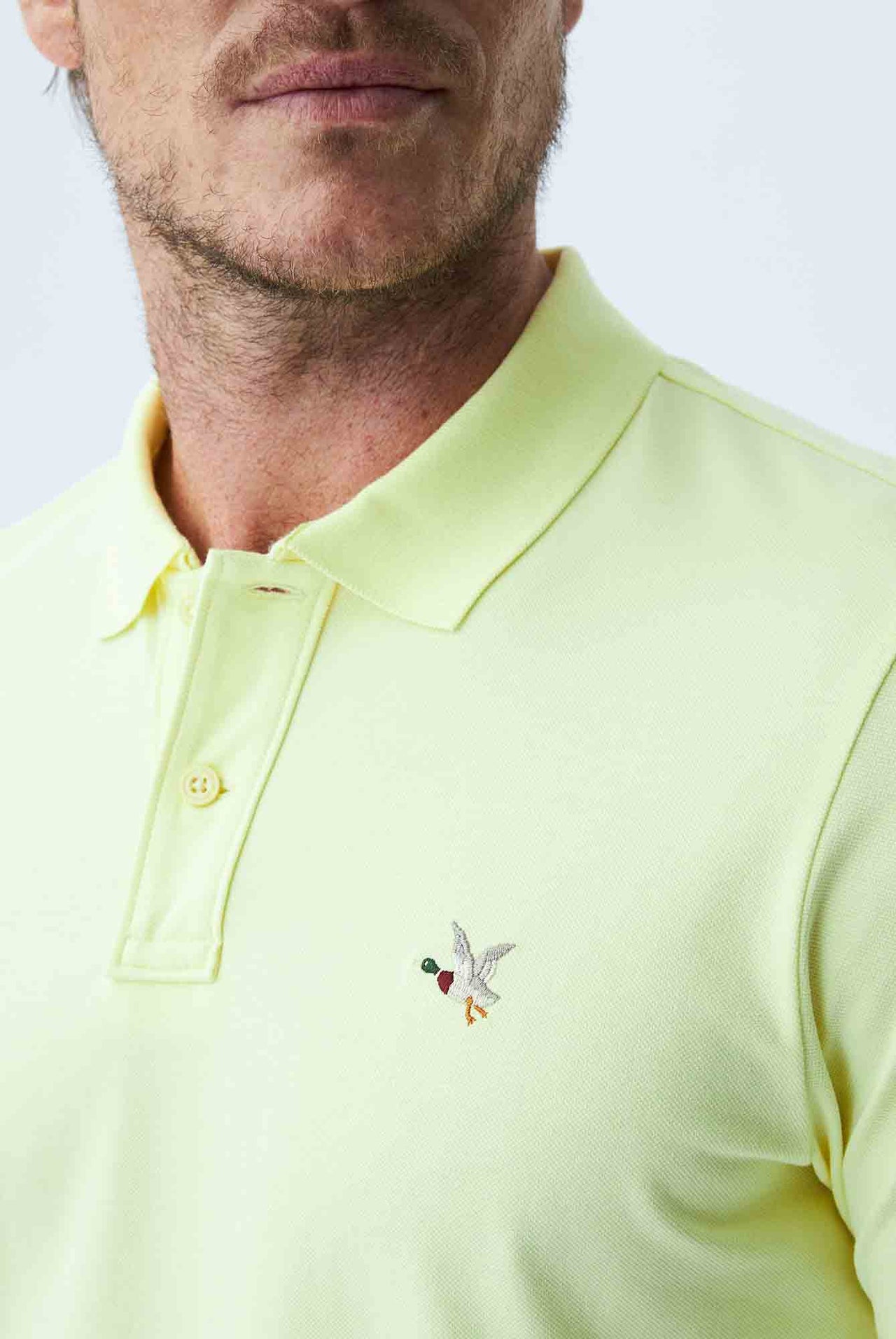 Polo Chevignon Fondo Entero Cuello Y Puños Tejidos A Tono