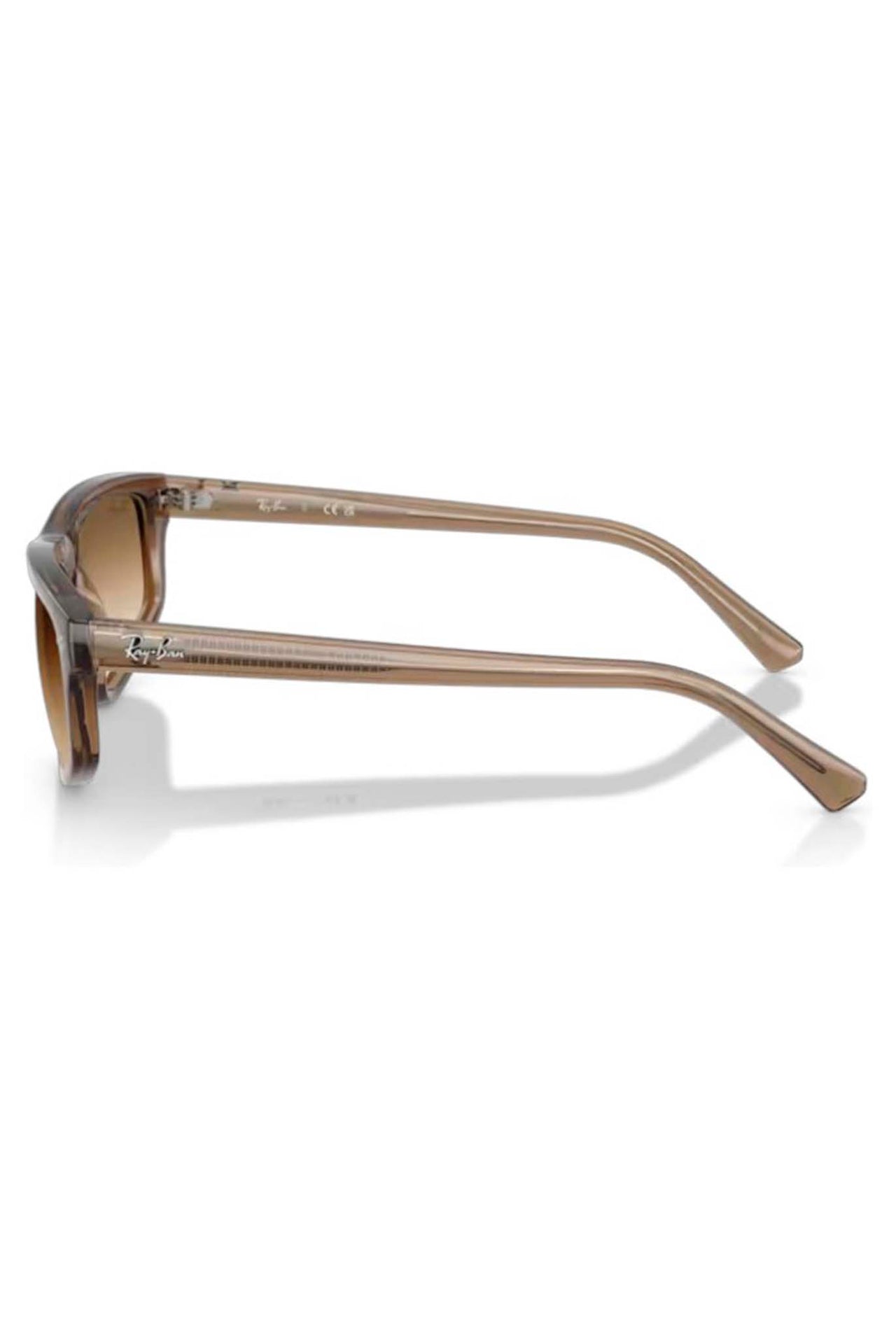 Gafas Ray-Ban RB2225 664051