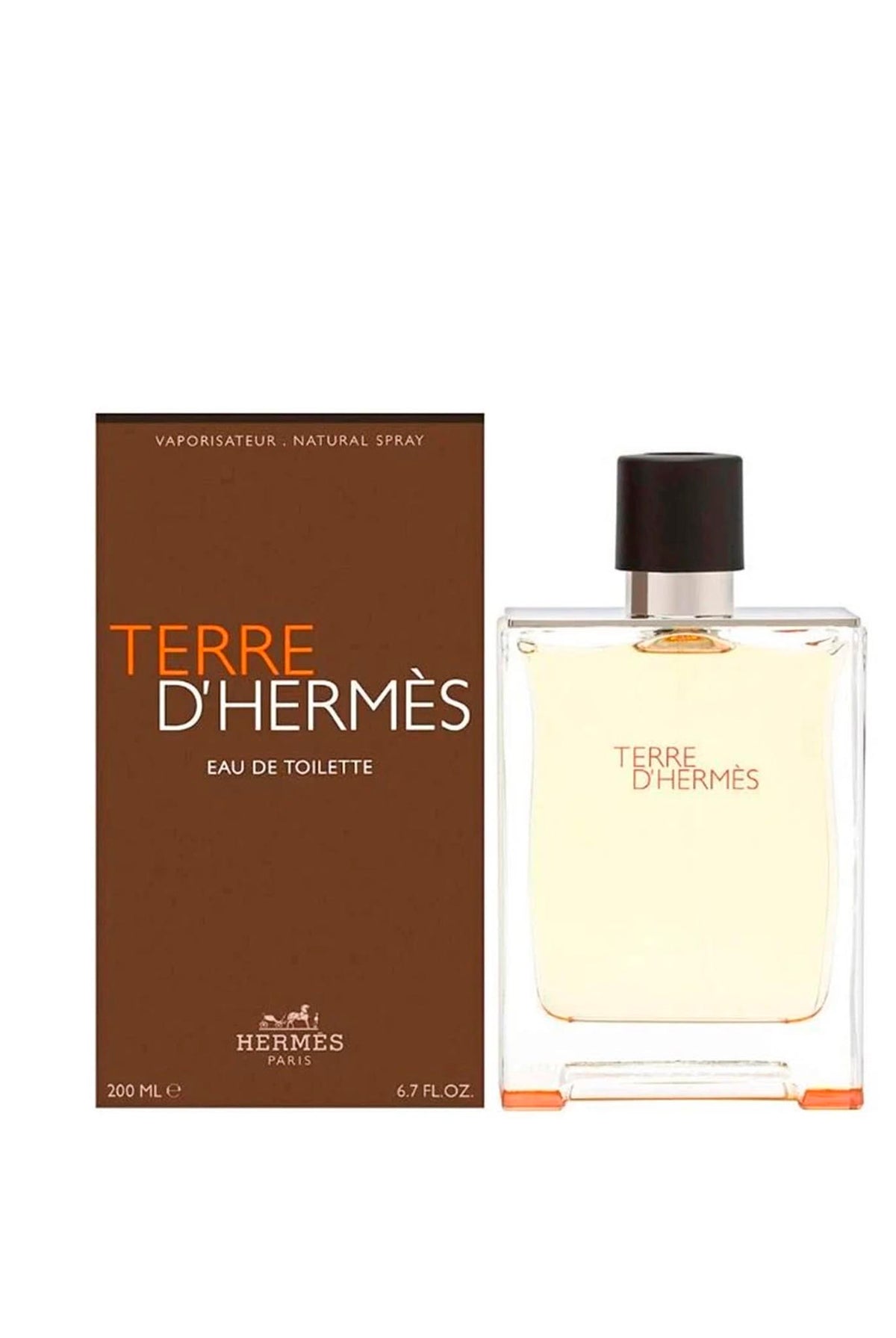 Perfume Terre D´ Hermès Eau De Toilette 100ML