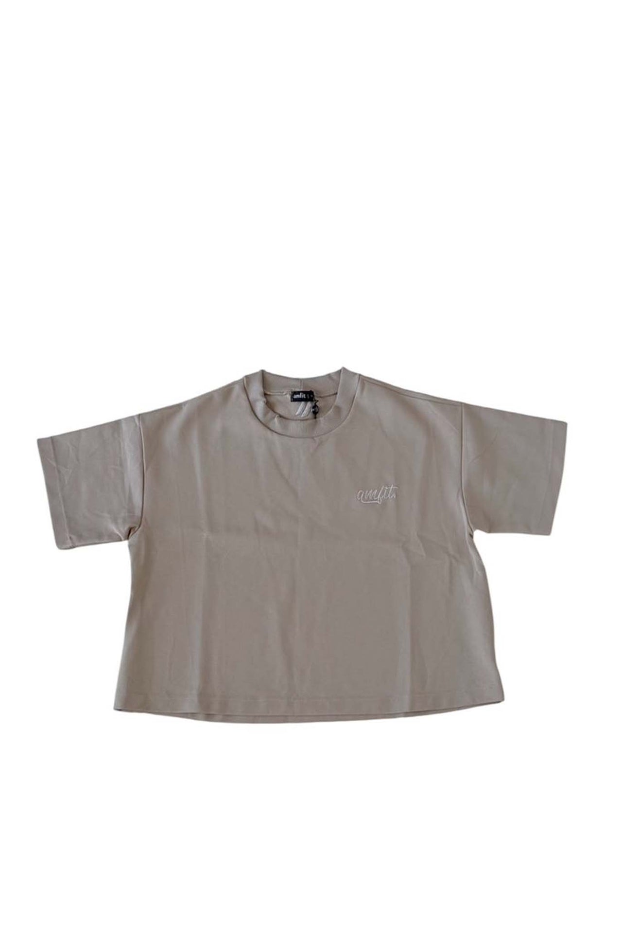 Camiseta Amfit Inicio Camel