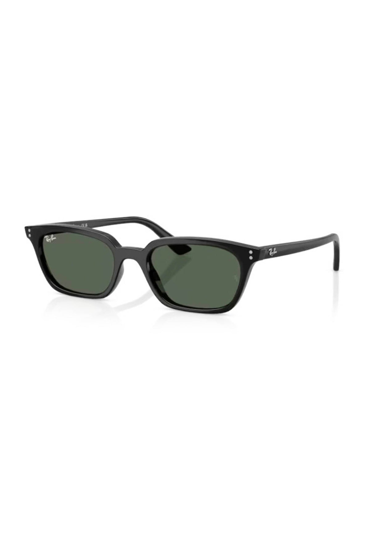 Gafas Ray-Ban Zaya RB4456 667771