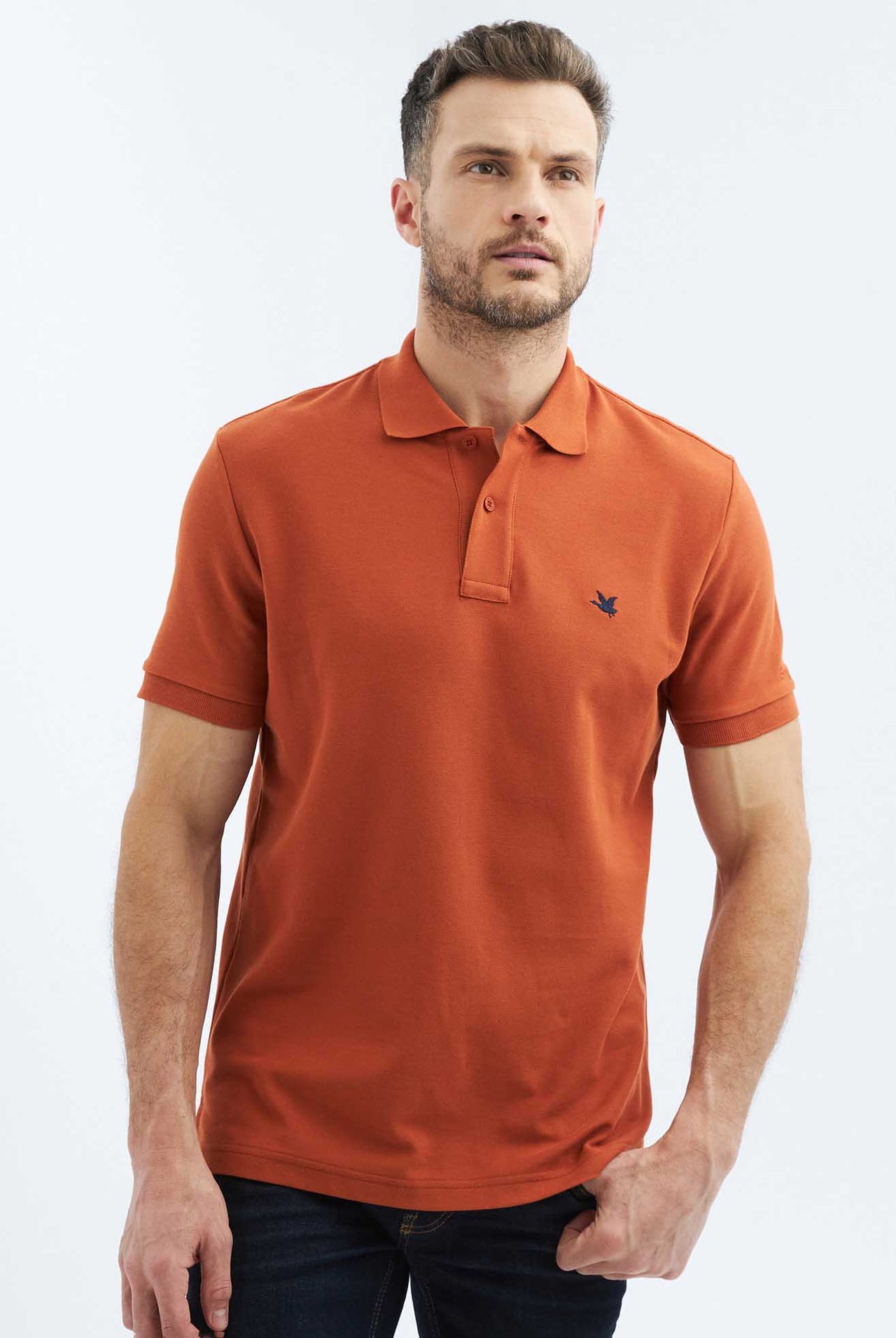 Polo Chevignon Fondo Entero Manga Corta