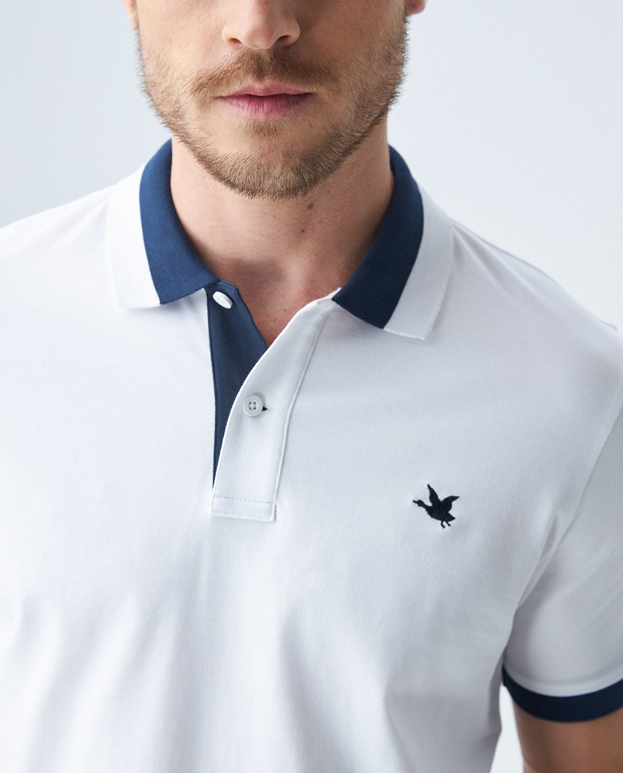 Polo Basico Chevignon  Bold