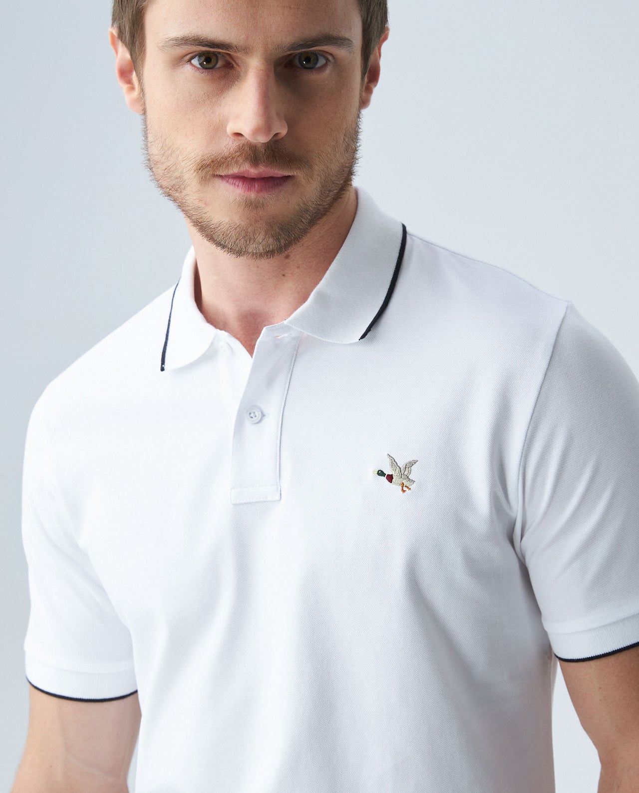 Polo Basico Chevignon Stripes Blanco